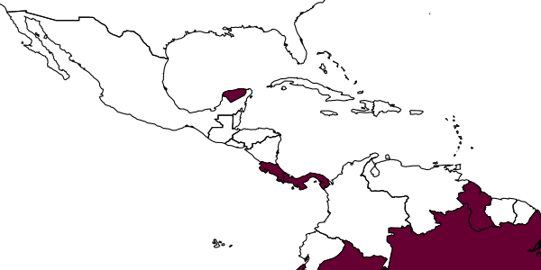 map of Foxita bara  bara   (Pate, 1944)
